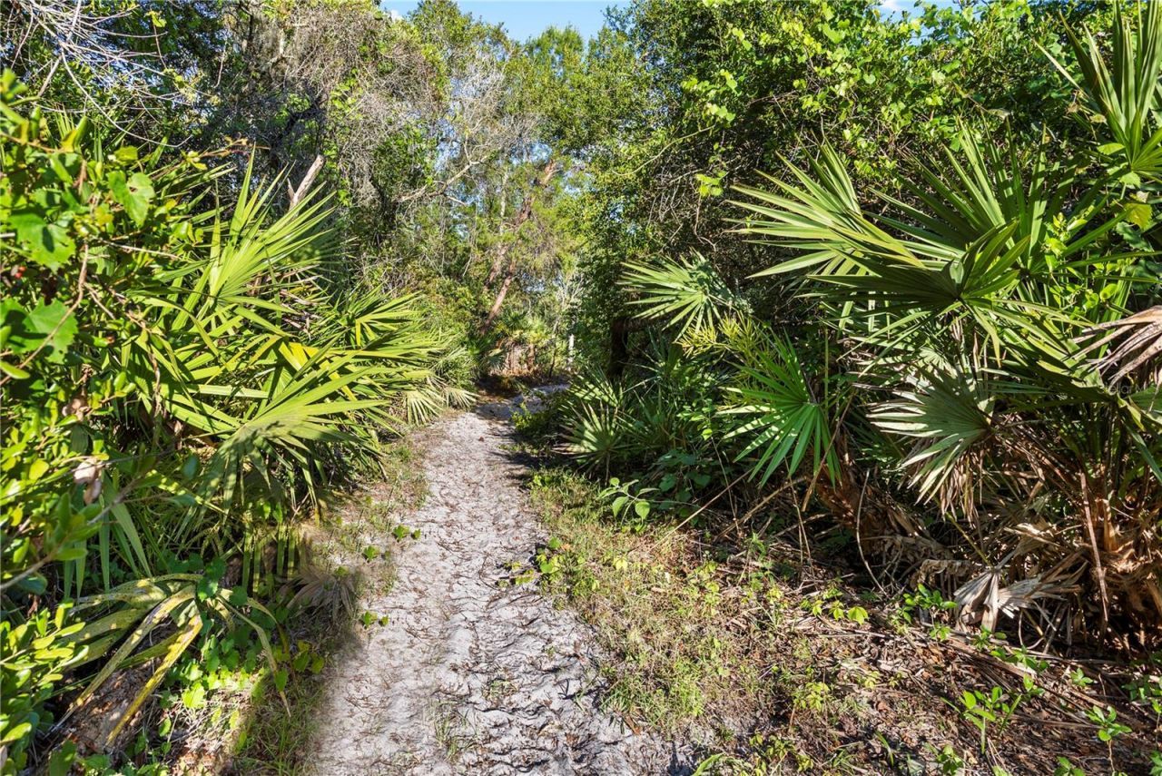 1140 Gallant Fox Way, Chuluota, FL 32766 Photo