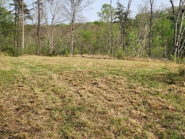 Stinson Creek Road , Grayson, KY 41143