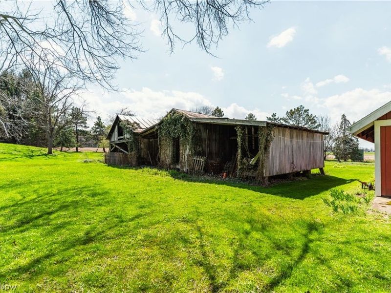 2483 Steiner Road, Creston, OH 44217 Photo 13