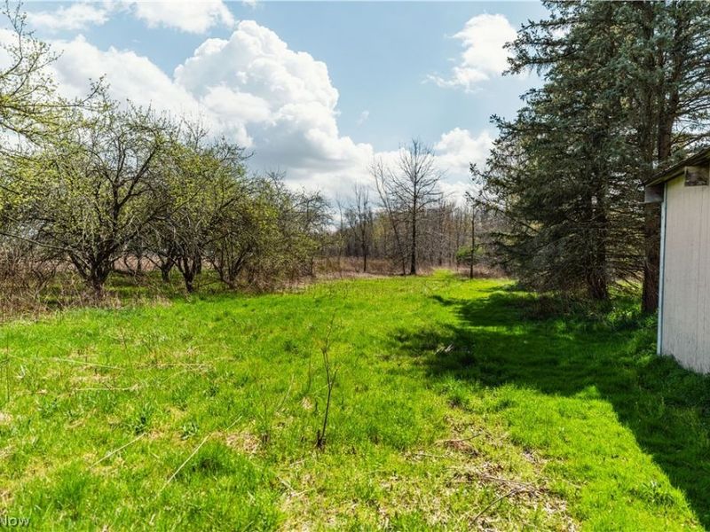 2483 Steiner Road, Creston, OH 44217 Photo 18