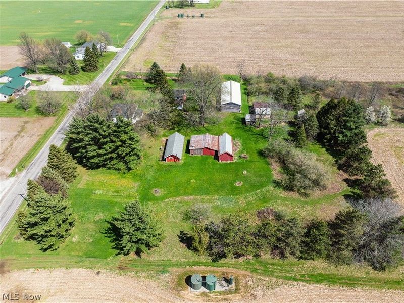 2483 Steiner Road, Creston, OH 44217 Photo 3