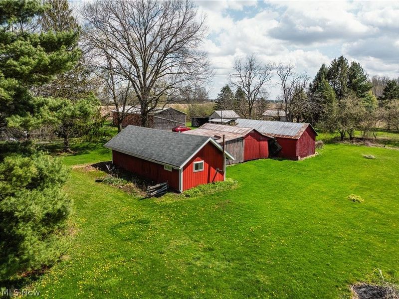 2483 Steiner Road, Creston, OH 44217 Photo 6