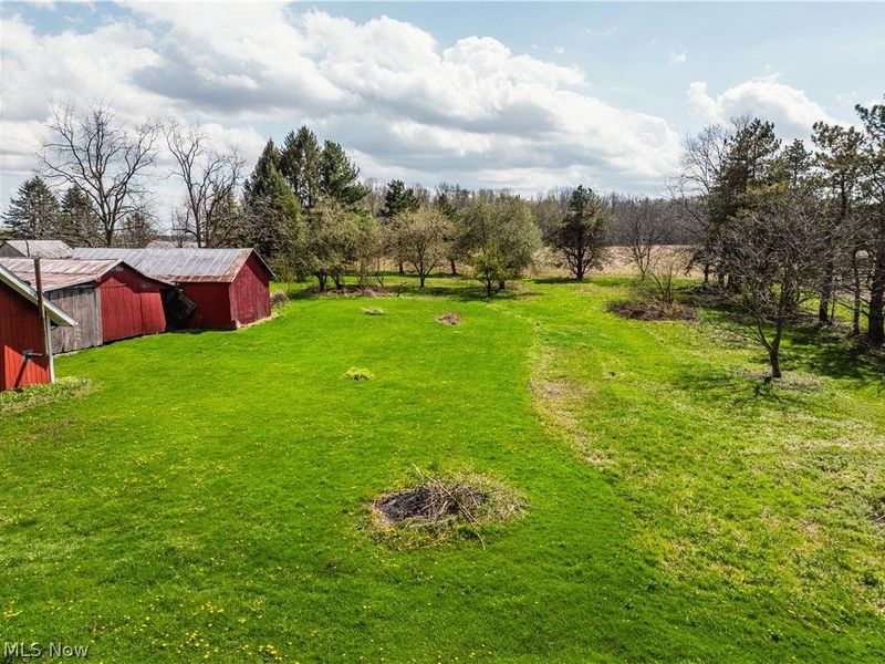 2483 Steiner Road, Creston, OH 44217 Photo 7