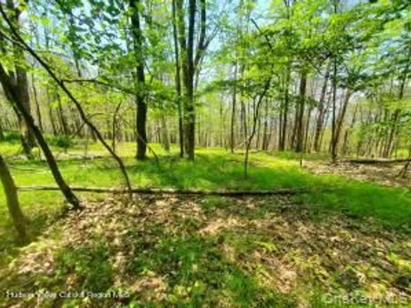 TBD Piney Lane , Cragsmoor, NY 12420