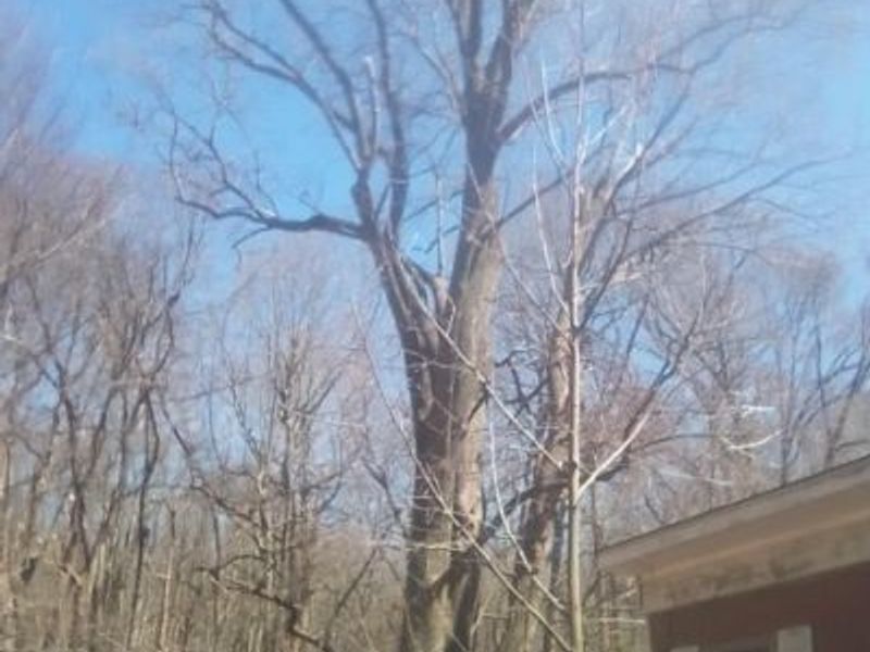 50 Oakland Boulevard, Conneaut, OH 44030 Photo 5