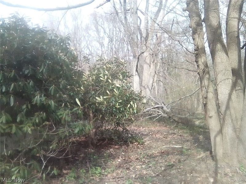 50 Oakland Boulevard, Conneaut, OH 44030 Photo 7