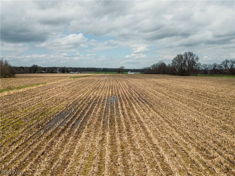 Steiner Road, Creston, OH 44217 Photo 2