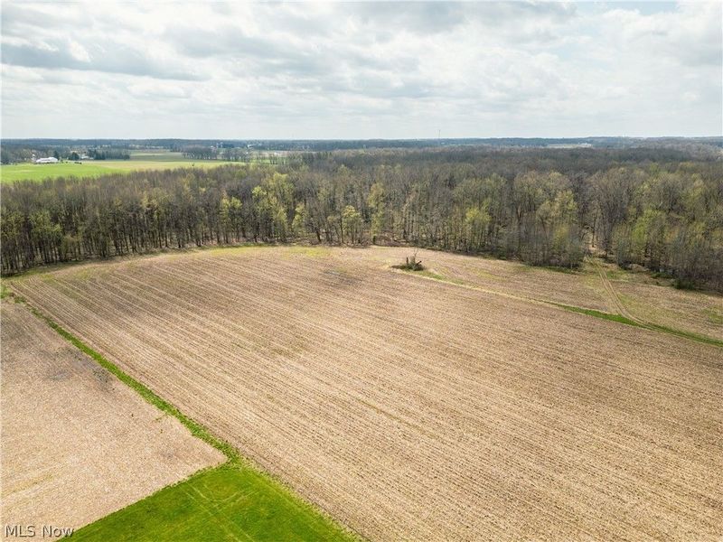 Steiner Road, Creston, OH 44217 Photo 3