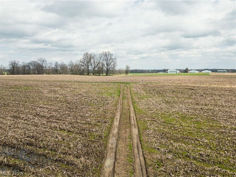 Steiner Road, Creston, OH 44217 Photo 5