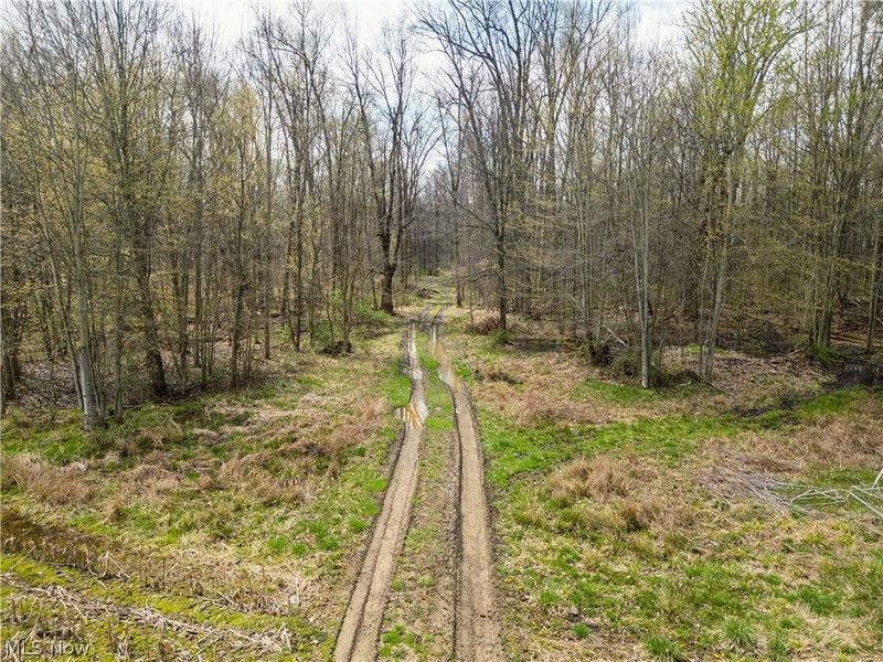 Steiner Road, Creston, OH 44217 Photo 6