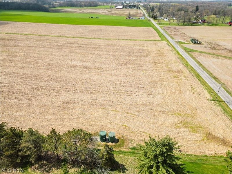 Steiner Road, Creston, OH 44217 Photo 7