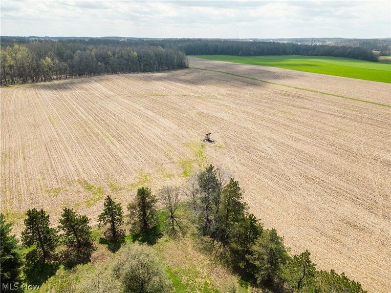 Steiner Road, Creston, OH 44217 Photo 2