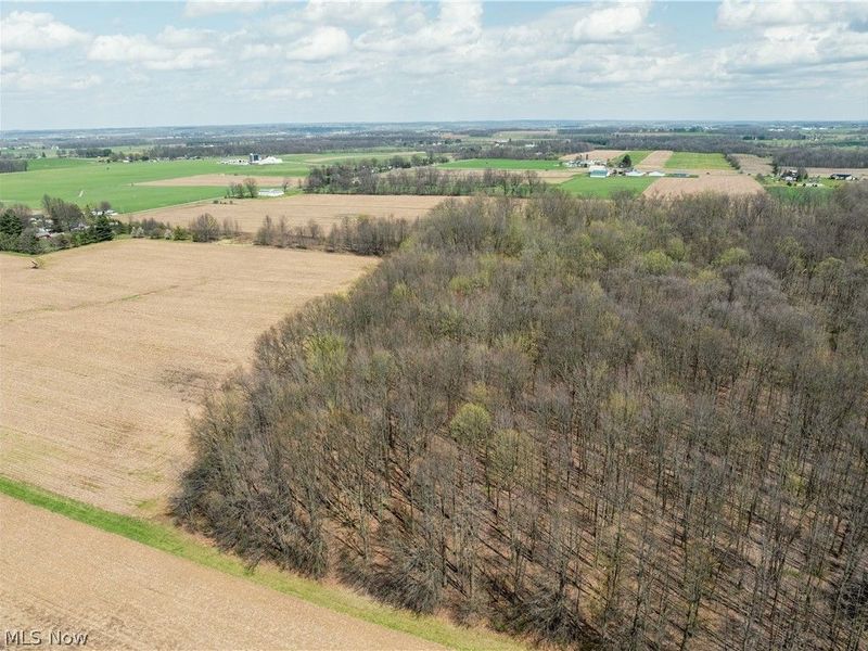 Steiner Road, Creston, OH 44217 Photo 5