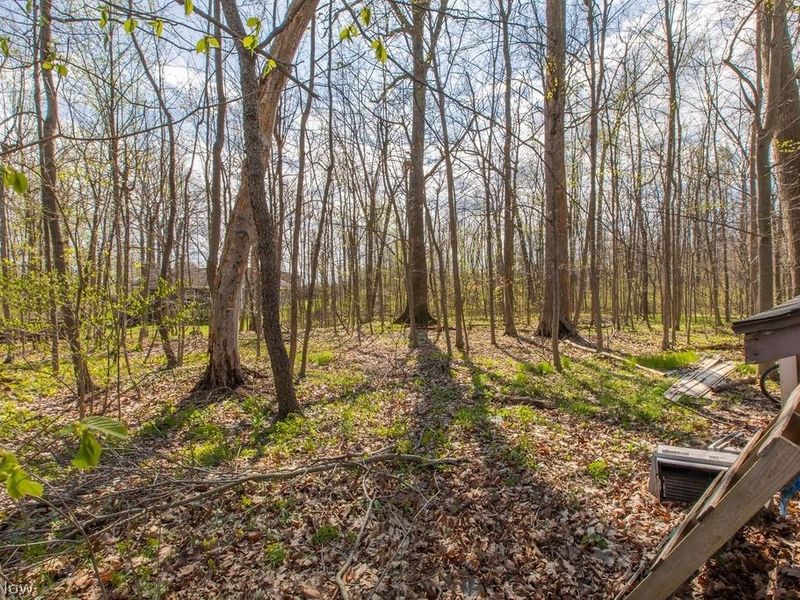 5090 Sangria Drive, West Salem, OH 44287 Photo 19