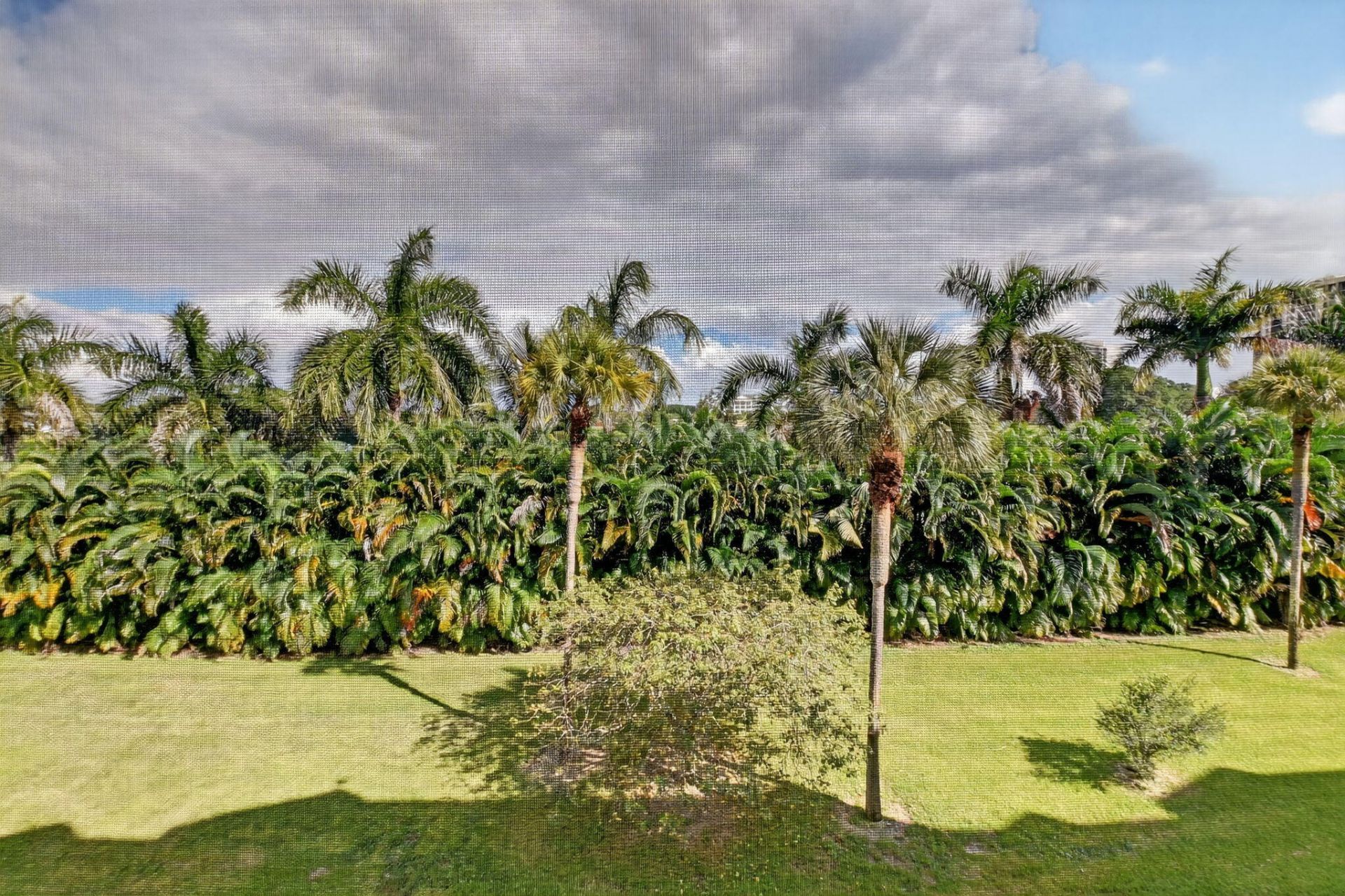 3000 Presidential Way, Unit 303, West Palm Beach, FL 33401 Photo
