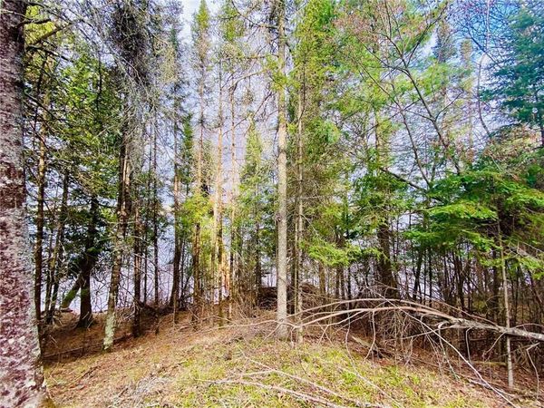 11171 Engstad Road, Solon Springs, WI 54873
