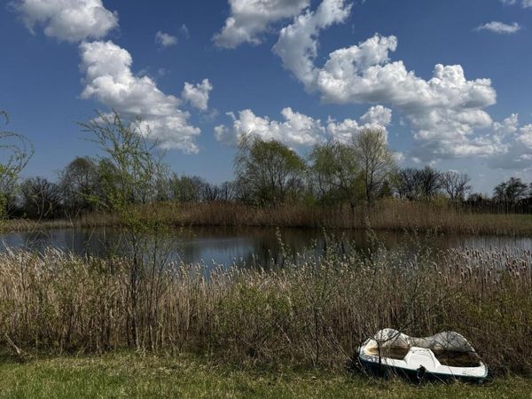 9871 Crane Road, Milan, MI 48160