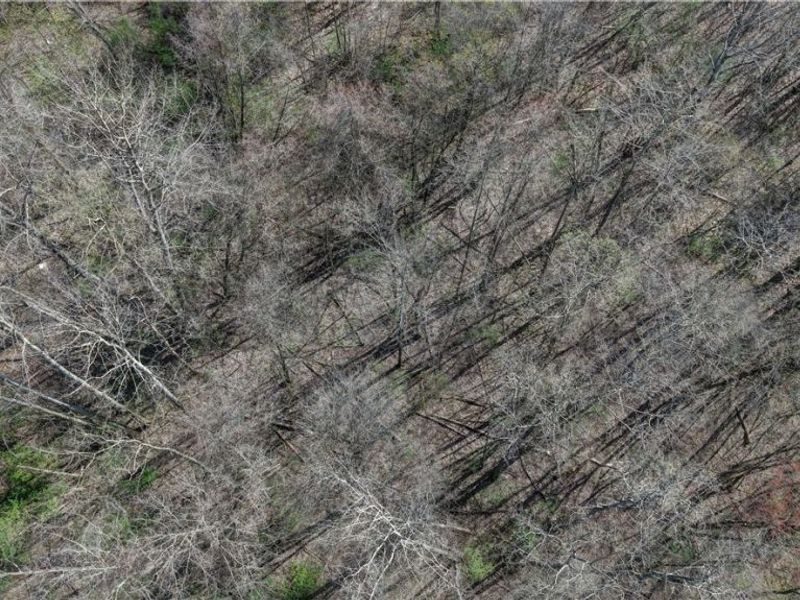 0 Martin Drive Southeast, Canton, OH 44707 Photo 6