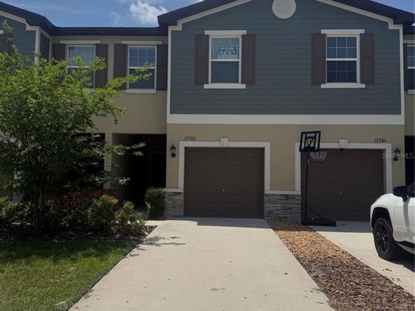 17586 NECTAR FLUME DRIVE , LAND O LAKES, FL 34638