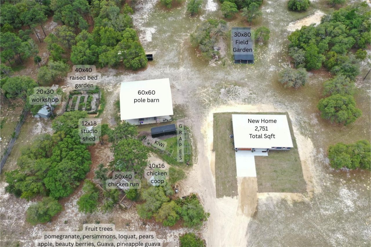 6254 W Peking Court, Dunnellon, FL 34433 Photo