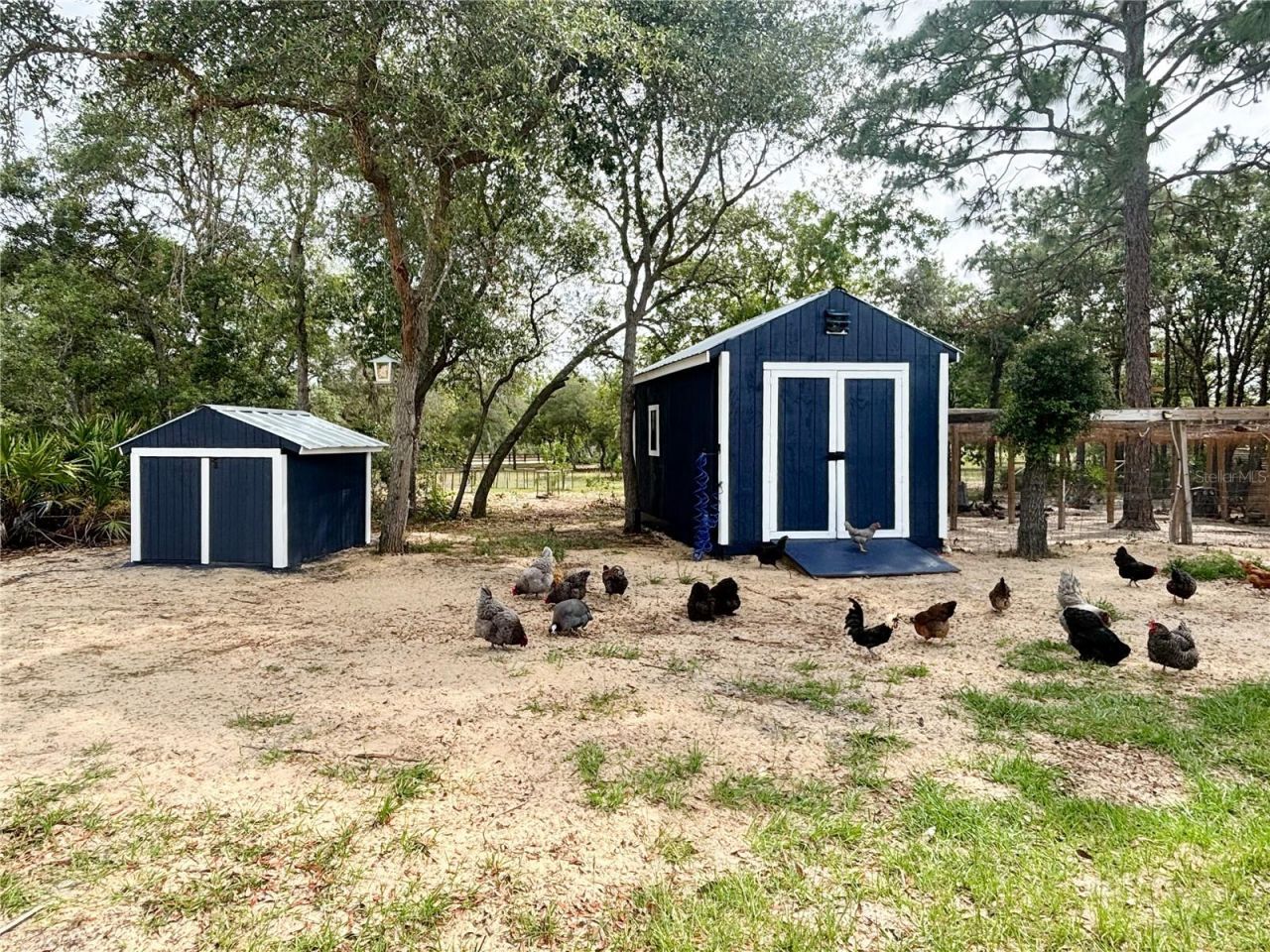 6254 W Peking Court, Dunnellon, FL 34433 Photo