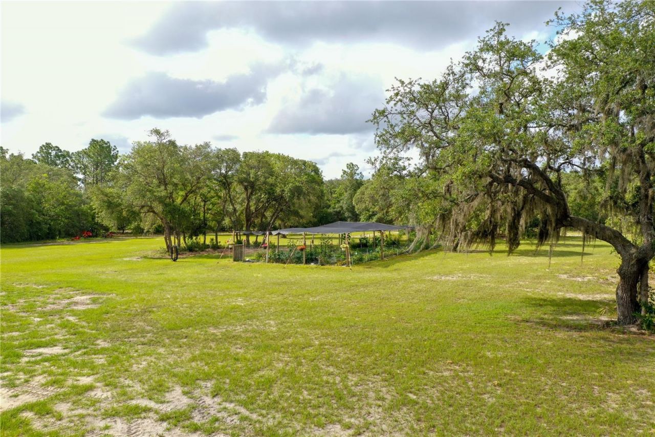 6254 W Peking Court, Dunnellon, FL 34433 Photo