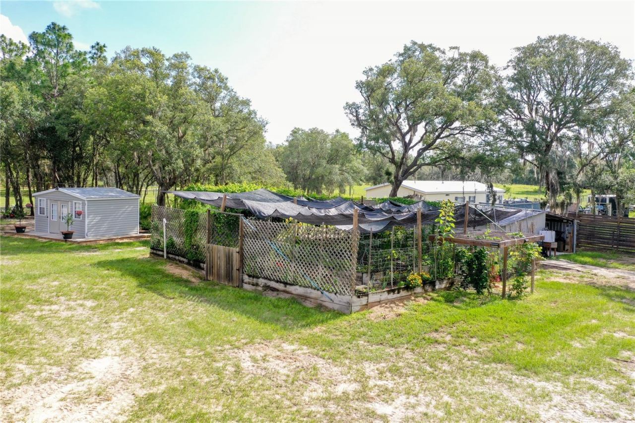 6254 W Peking Court, Dunnellon, FL 34433 Photo