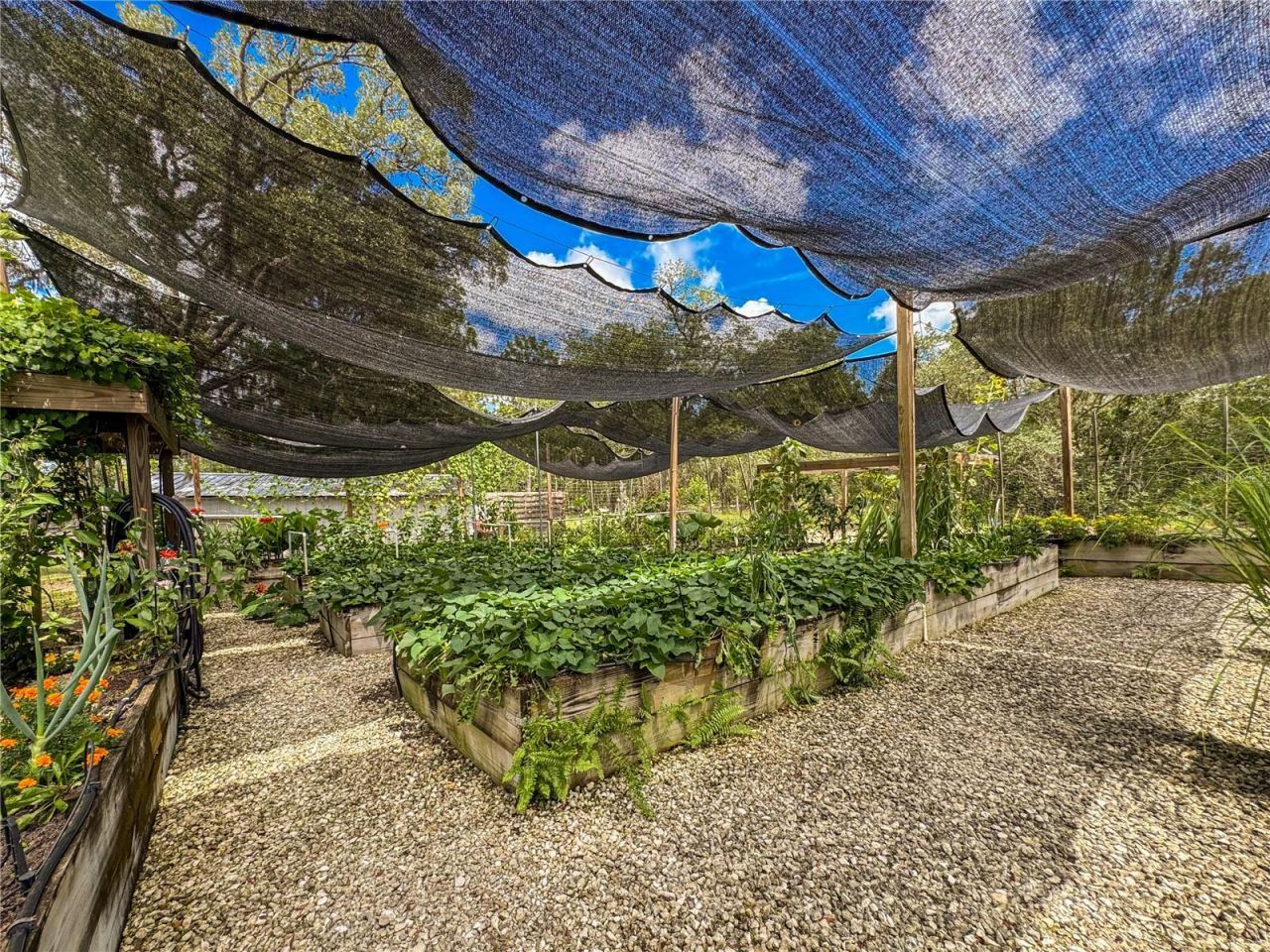 6254 W Peking Court, Dunnellon, FL 34433 Photo