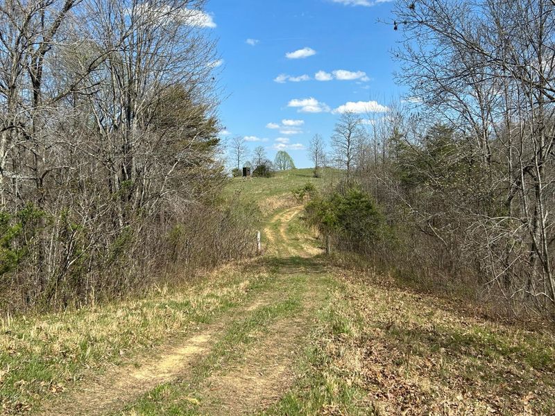 1322 Peniel Road, Patriot, OH 45658 Photo 14