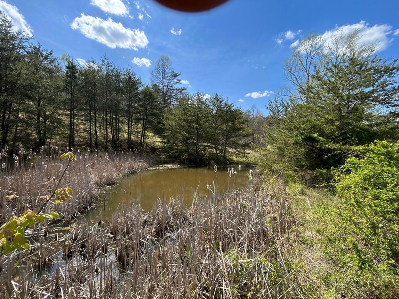 1322 Peniel Road, Patriot, OH 45658 Photo 15