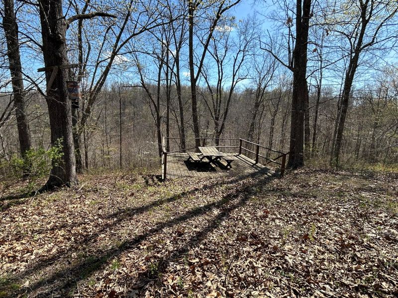 1322 Peniel Road, Patriot, OH 45658 Photo 16