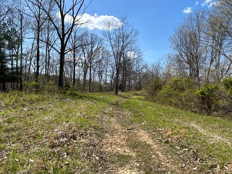 1322 Peniel Road, Patriot, OH 45658 Photo 19