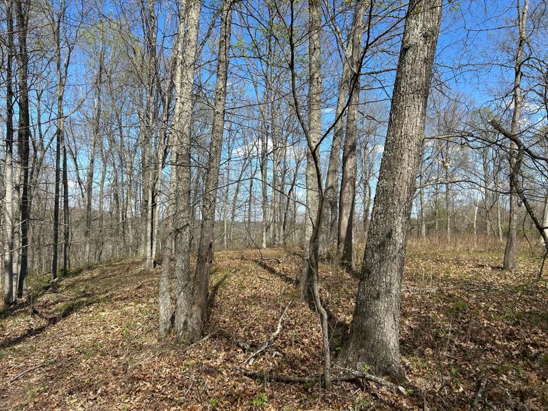 1322 Peniel Road, Patriot, OH 45658 Photo 26