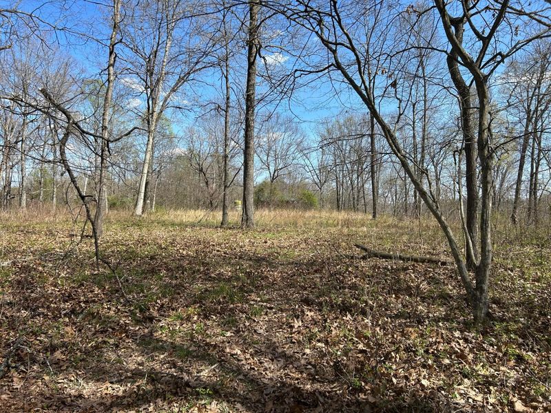 1322 Peniel Road, Patriot, OH 45658 Photo 27