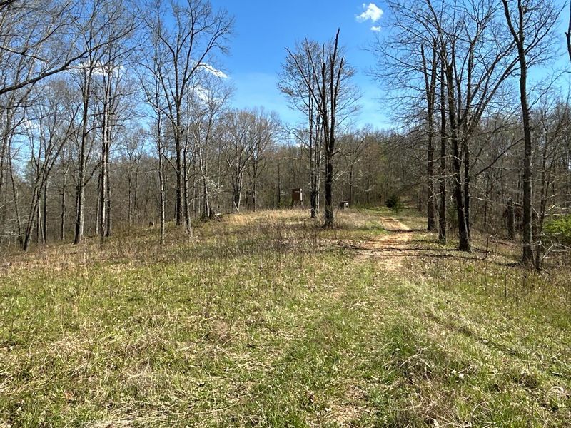 1322 Peniel Road, Patriot, OH 45658 Photo 29