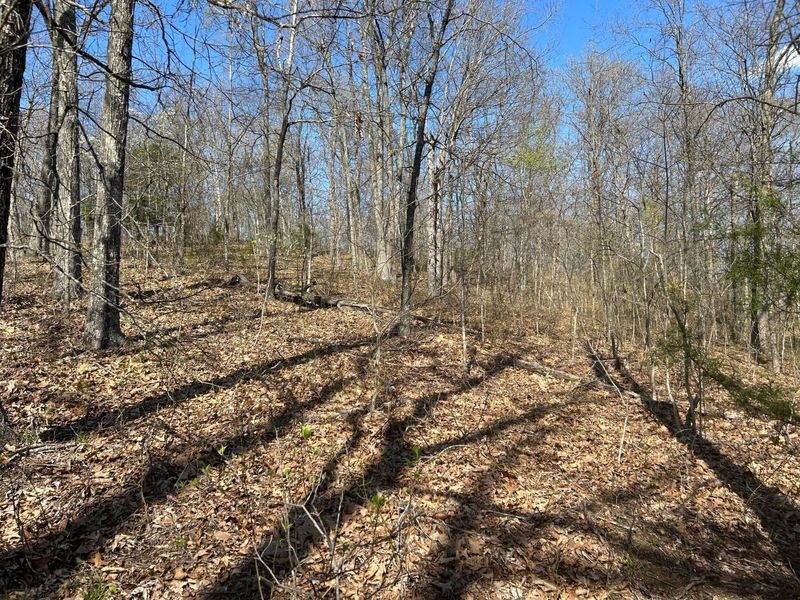 1322 Peniel Road, Patriot, OH 45658 Photo 30