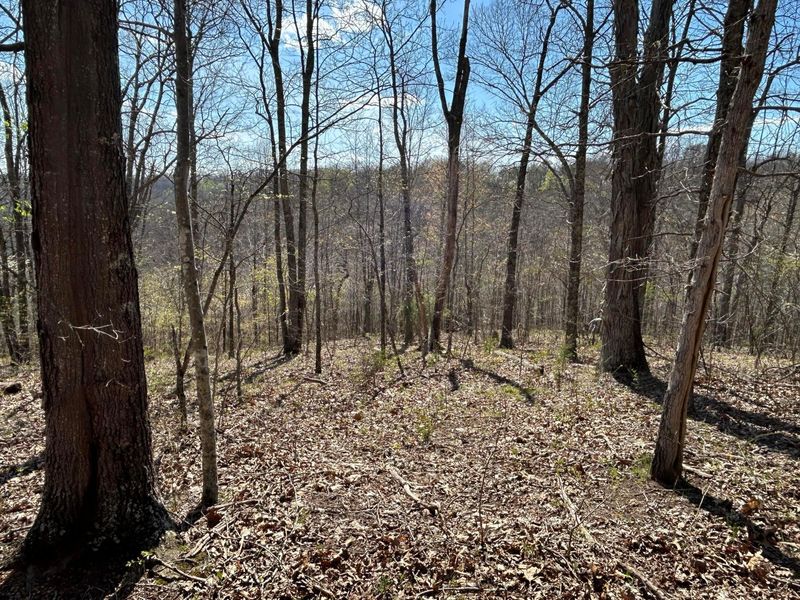 1322 Peniel Road, Patriot, OH 45658 Photo 31