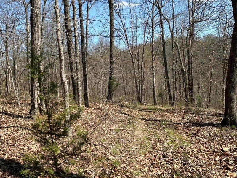 1322 Peniel Road, Patriot, OH 45658 Photo 32