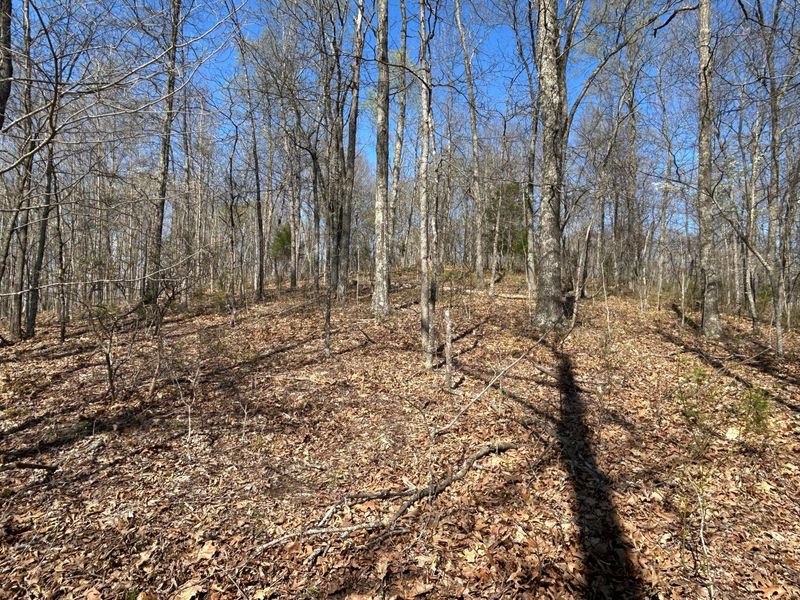 1322 Peniel Road, Patriot, OH 45658 Photo 33