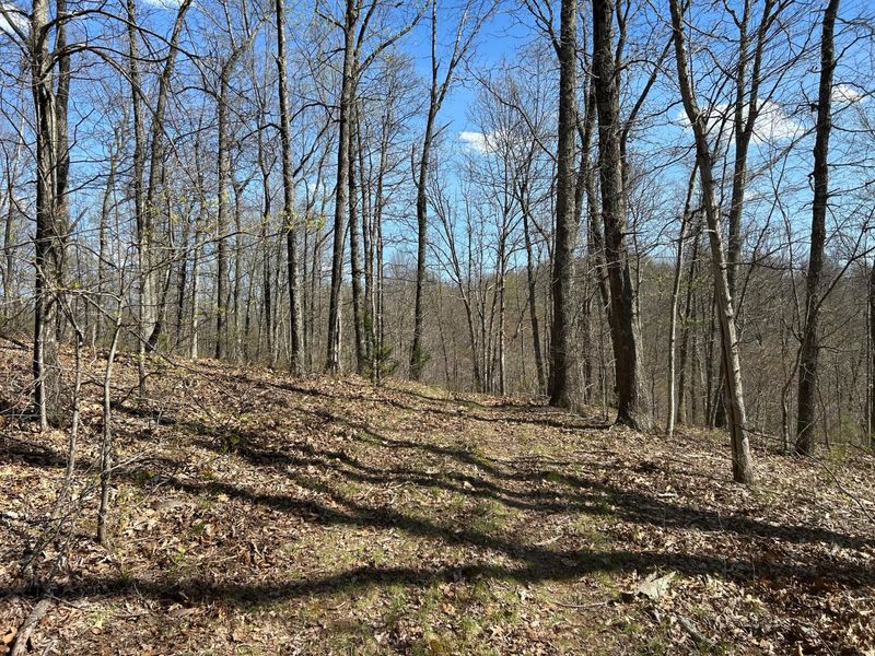 1322 Peniel Road, Patriot, OH 45658 Photo 34