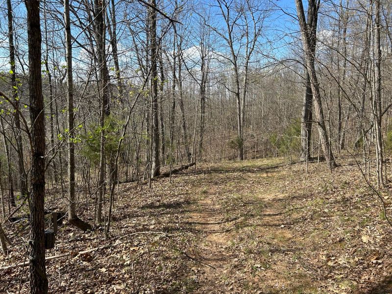 1322 Peniel Road, Patriot, OH 45658 Photo 35