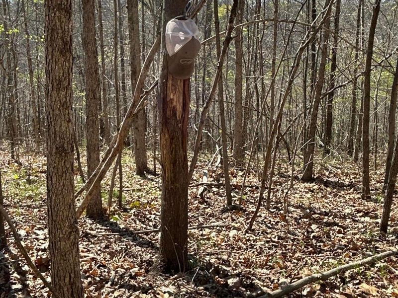 1322 Peniel Road, Patriot, OH 45658 Photo 36