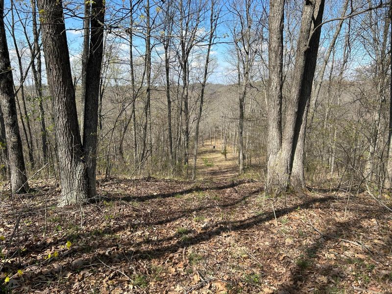 1322 Peniel Road, Patriot, OH 45658 Photo 37