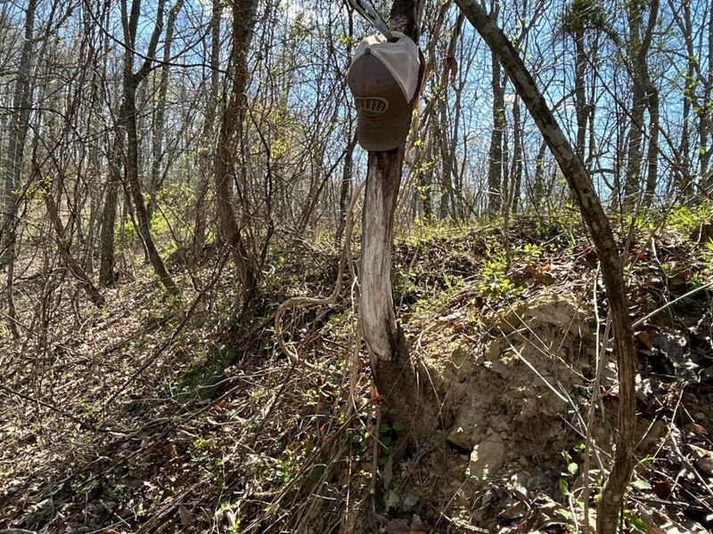 1322 Peniel Road, Patriot, OH 45658 Photo 38