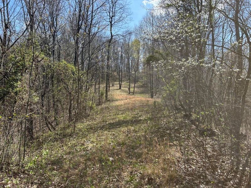 1322 Peniel Road, Patriot, OH 45658 Photo 39