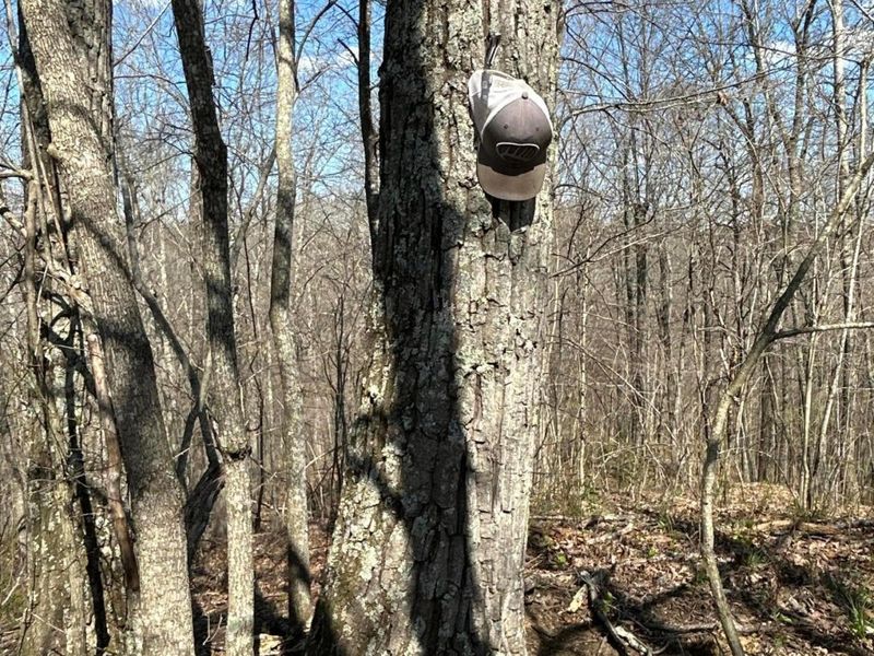 1322 Peniel Road, Patriot, OH 45658 Photo 40