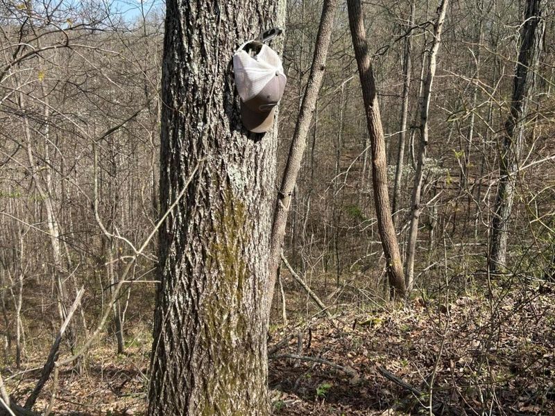 1322 Peniel Road, Patriot, OH 45658 Photo 41