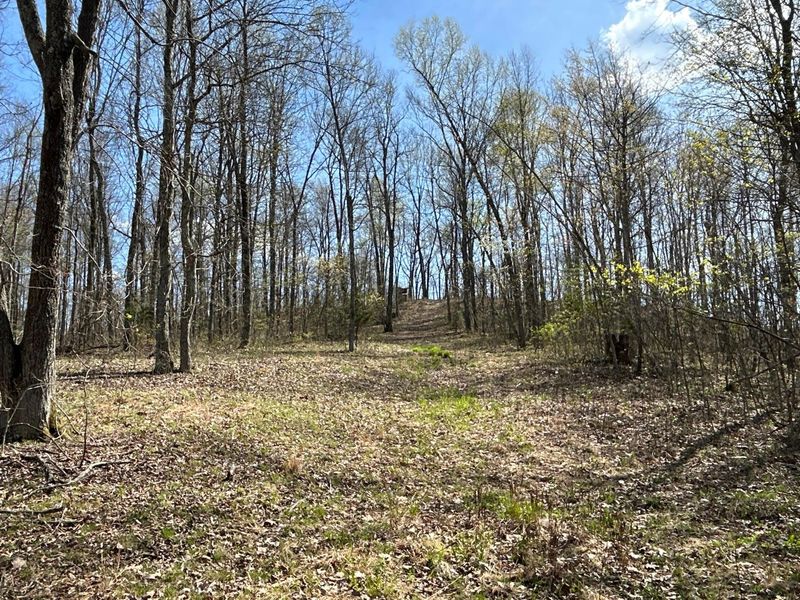 1322 Peniel Road, Patriot, OH 45658 Photo 42