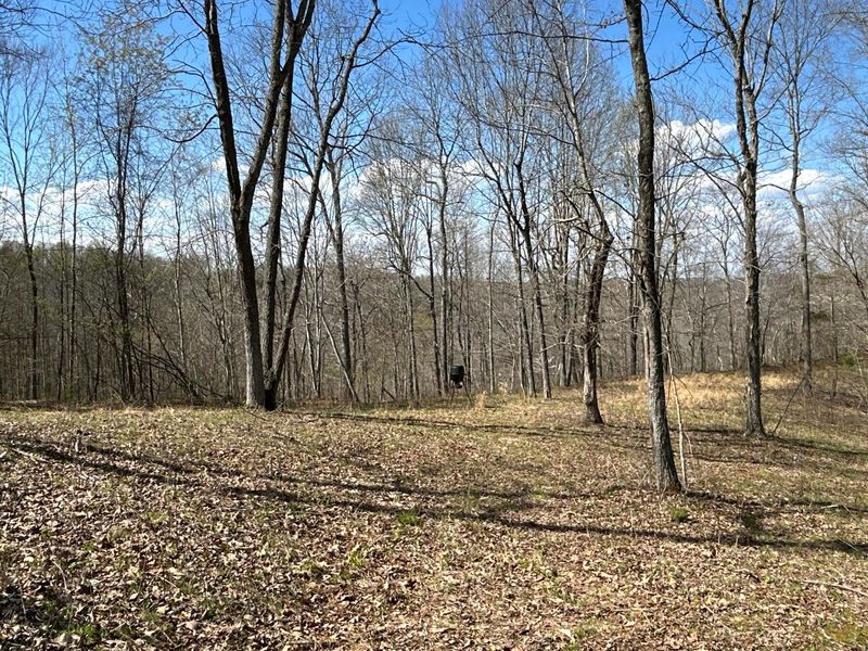 1322 Peniel Road, Patriot, OH 45658 Photo 43