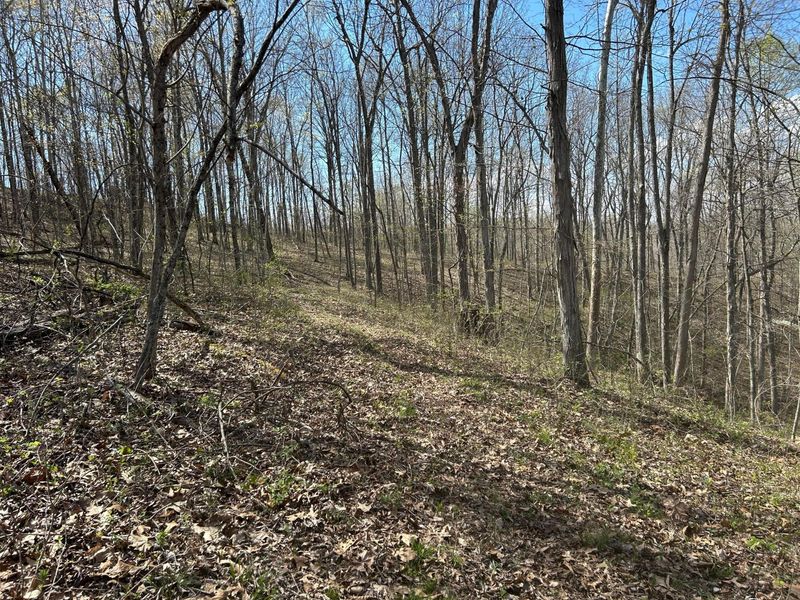 1322 Peniel Road, Patriot, OH 45658 Photo 44